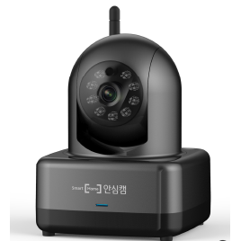 Wireless Day/Night PTZ IP Camera